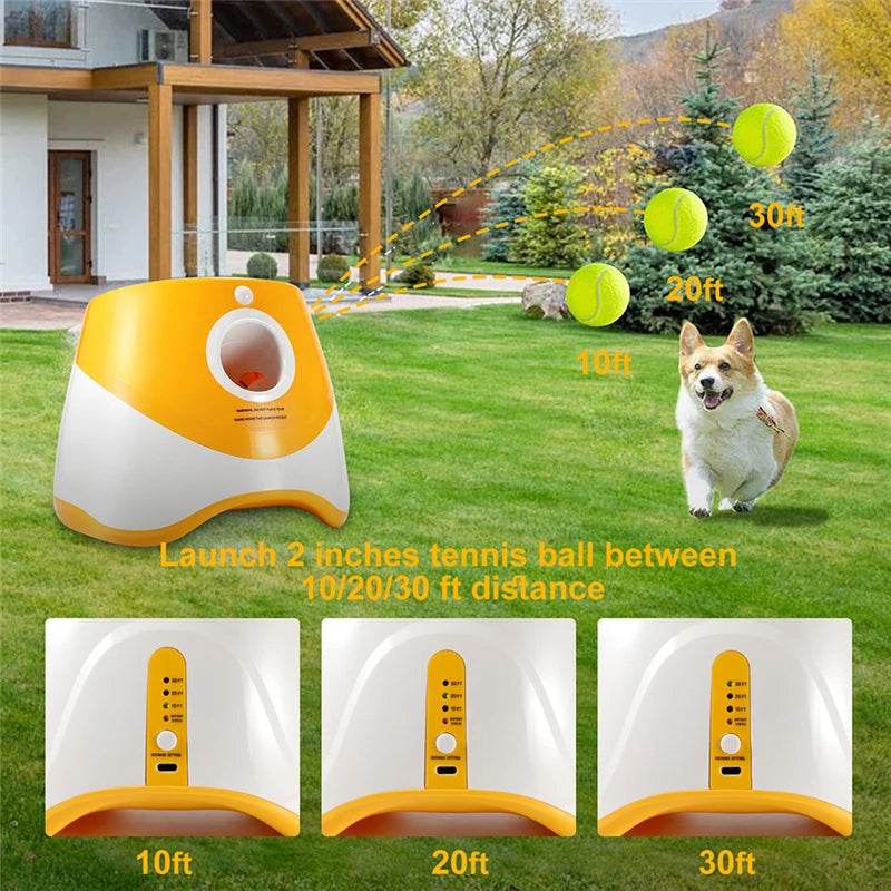 Fun Canin Illimité : Lanceurs de Balles Innovants