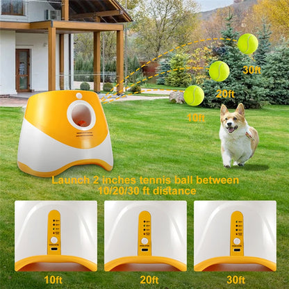 Fun Canin Illimité : Lanceurs de Balles Innovants