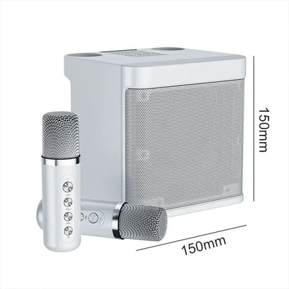 Ensemble audio KTV familial, haut-parleurs Bluetooth multifonctions sans fil, microphone pour touristes, machine à chanter portable, tout-en-un, fête