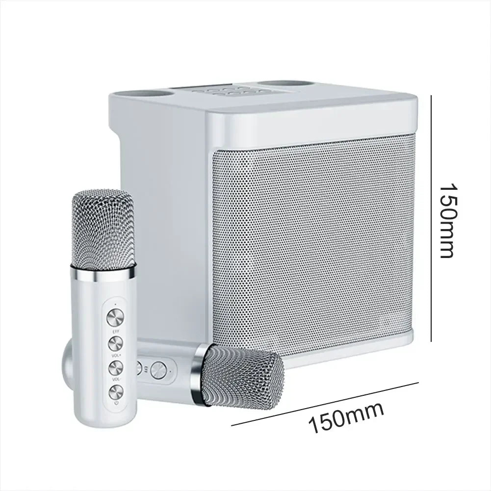 Ensemble Audio KTV Familial Portable